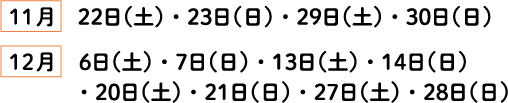 11月22日（土）・23日（日）・29日（土）・30日（日）/12月6日（土）・7日（日）・13日（土）・14日（日）・20日（土）・21日（日）・27日（土）・28日（日）