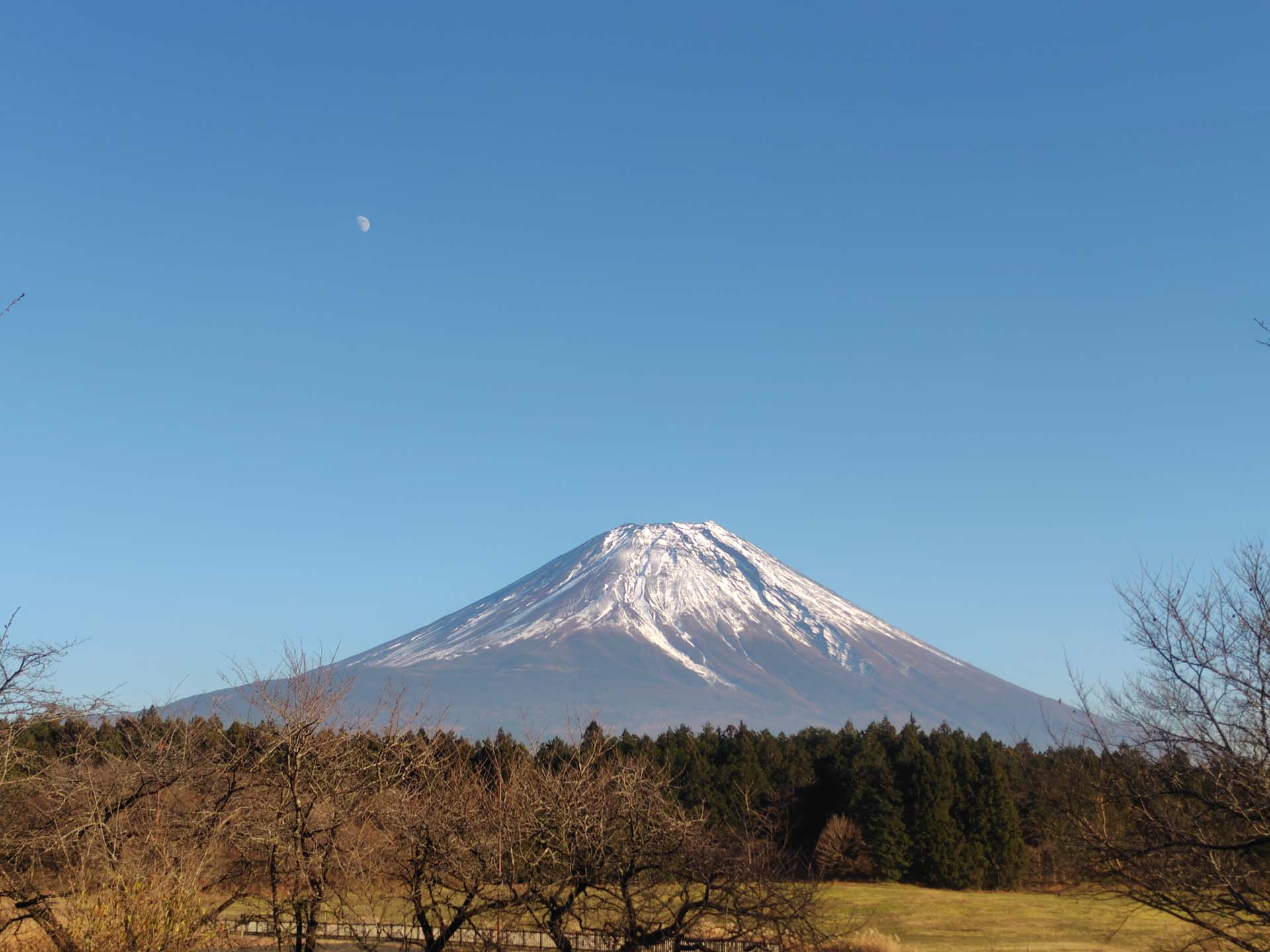 ひな人形イメージ画像